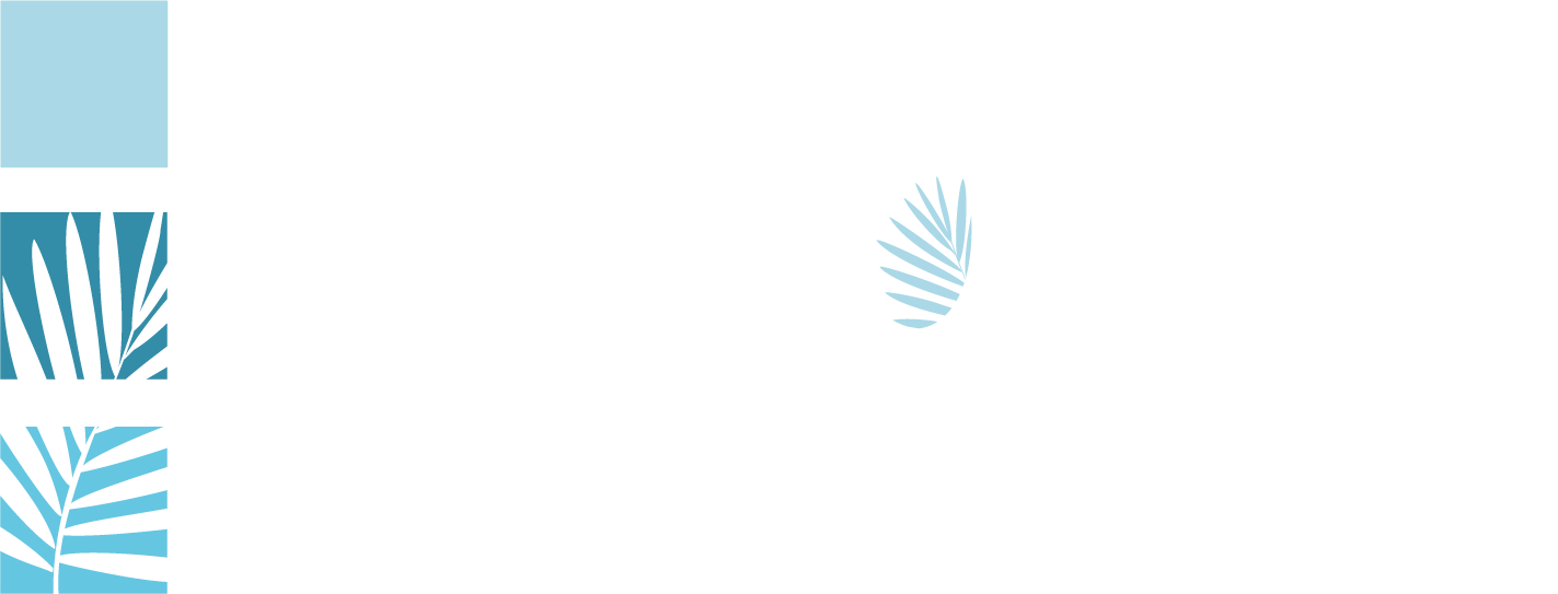 SAONA PISCINE - Piscines et Spas